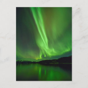 Cartão Postal Eterno Aurora