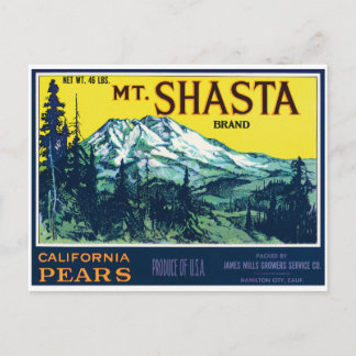 Cartão Postal Etiqueta Vintage Mt Shasta California Pears