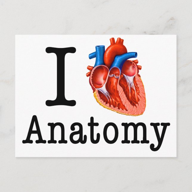 Cartão Postal Eu adoro Anatomia (Frente)