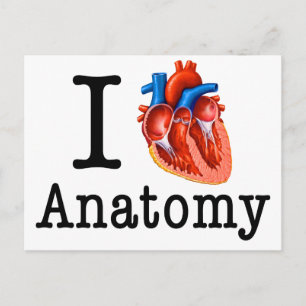 Cartão Postal Eu adoro Anatomia