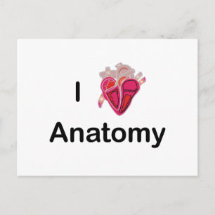 Cartão Postal Eu adoro anatomia com coração humano!