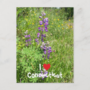 Cartão Postal Eu Adoro Connecticut