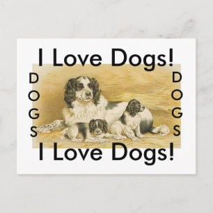 Cartão Postal Eu amo cães postais