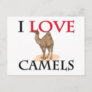 Cartão Postal Eu Amo Camelos