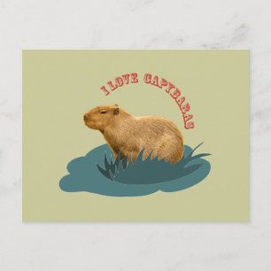 Cartão Postal Eu amo capybaras