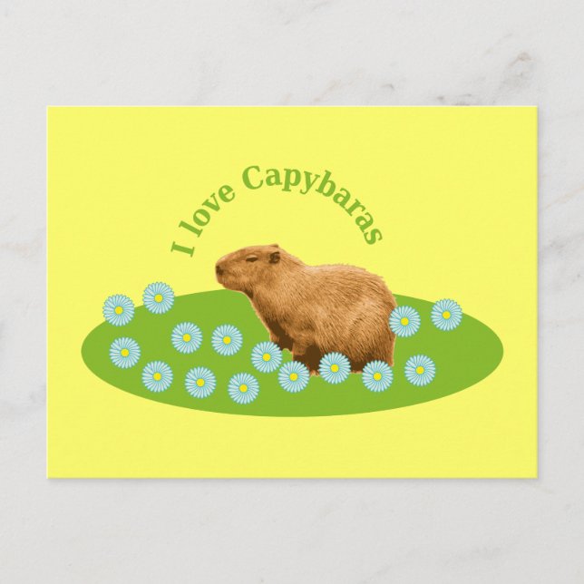 Cartão Postal Eu amo Capybaras (Frente)