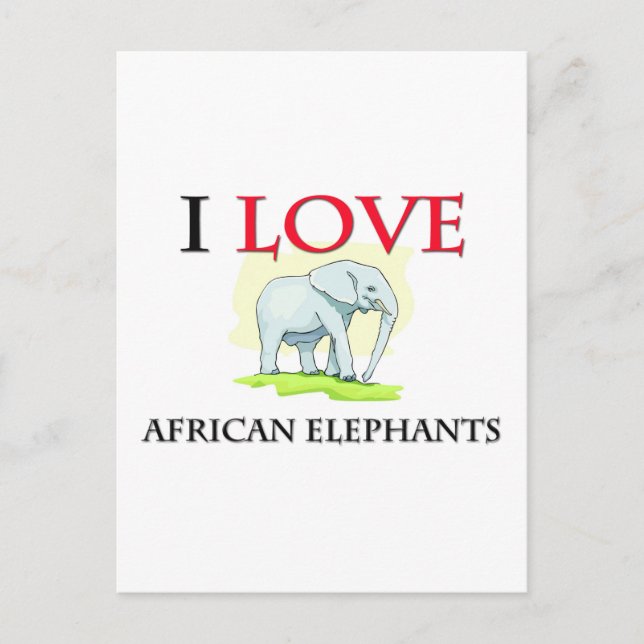 Cartão Postal Eu amo elefantes africanos (Frente)