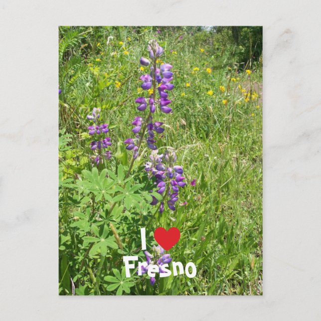 Cartão Postal Eu Amo Fresno (Frente)