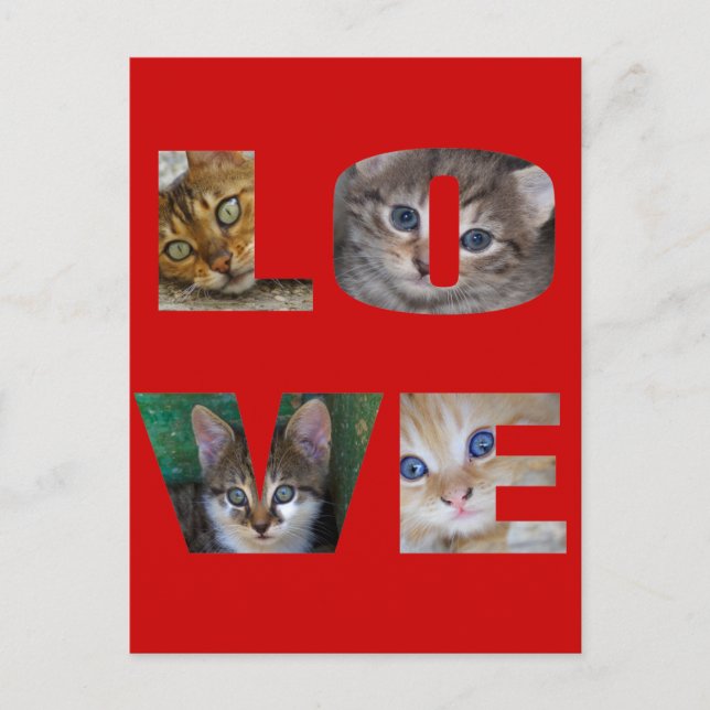 Cartão Postal Eu Amo Gatos (Frente)