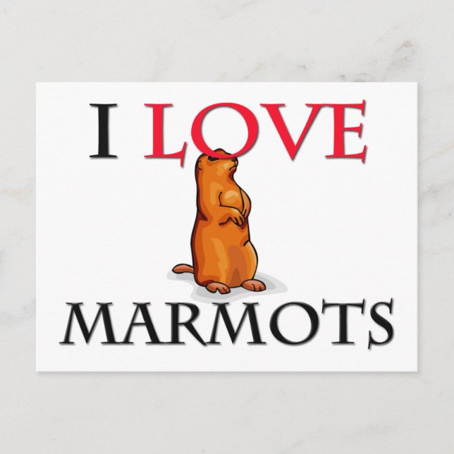 Cartão Postal Eu Amo Marmots (Frente)