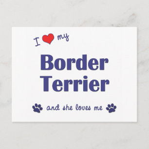 Cartão Postal Eu Amo Meu Bordo Terrier (Cachorro Feminino)