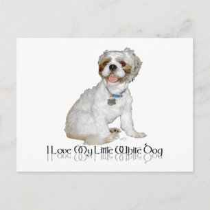 Cartão Postal Eu Amo Meu Cachorrinho Branco - Shih Tzu