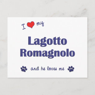 Cartão Postal Eu Amo Meu Lagotto Romagnolo (Cachorro Masculino)