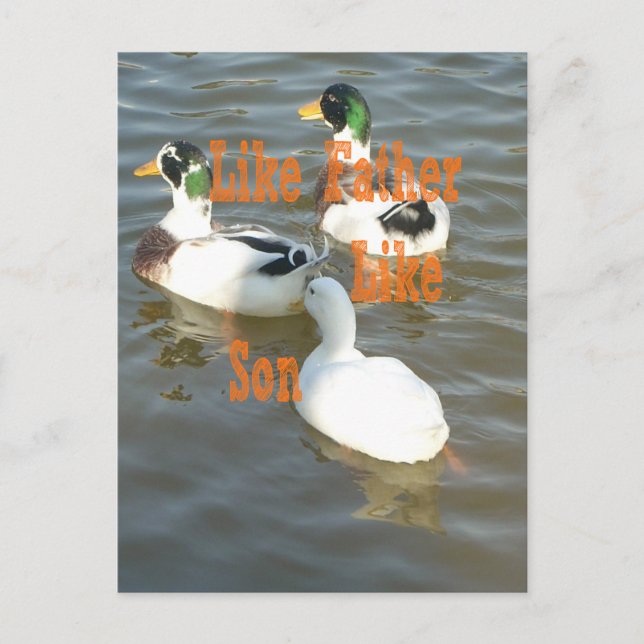 Cartão Postal Eu amo meu menino como pai como filho (Frente)