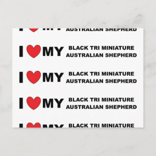 Cartão Postal eu amo meu mini aussie tri preto