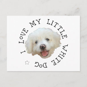 Cartão Postal Eu Amo Meu Pequeno Cão Branco Resgatado