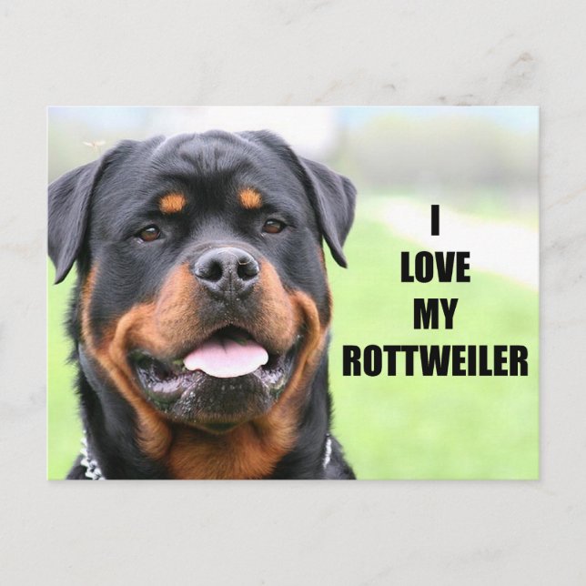 Cartão Postal Eu amo meu Rottweiler (Frente)
