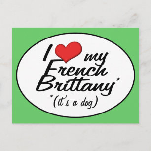 Cartão Postal Eu amo minha Bretanha francesa (é um cachorro)