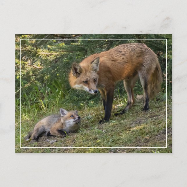 Cartão Postal Eu Amo Minha Mãe (Frente)