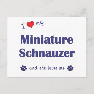 Cartão Postal Eu Amo Minha Miniatura Schnauzer (Cachorro Feminin