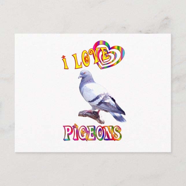 Cartão Postal Eu Amo Pombos (Frente)