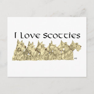 Cartão Postal Eu Amo Scotties - Linha Wheaten Scottie