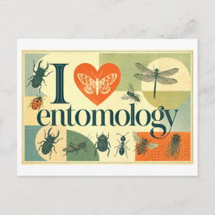 Cartão Postal "Eu [Coração] Entomologia"