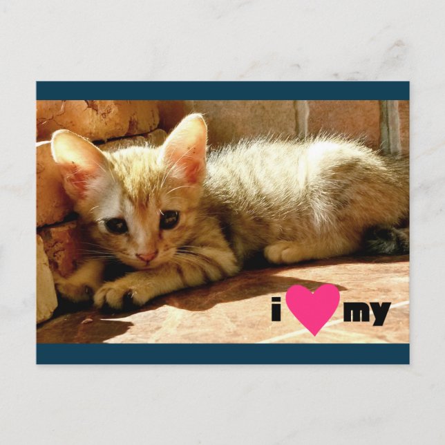 Cartão Postal Eu coração meu gato (Frente)