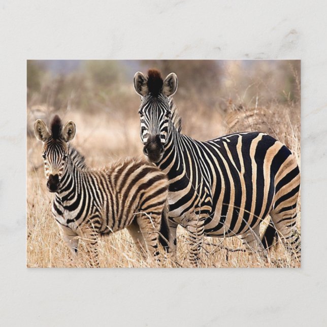 Cartão Postal Eu e a mamãe (Frente)