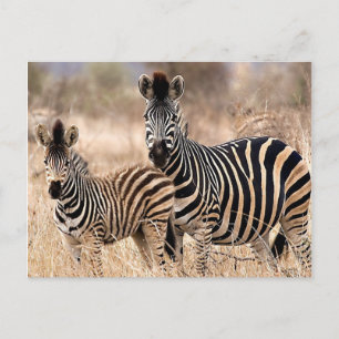 Cartão Postal Eu e a mamãe