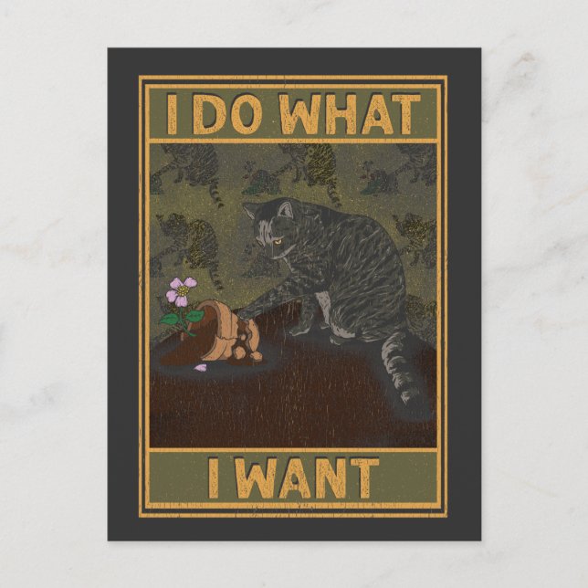 Cartão Postal Eu Faço O Que Eu Quero | Gato Engraçado (Frente)