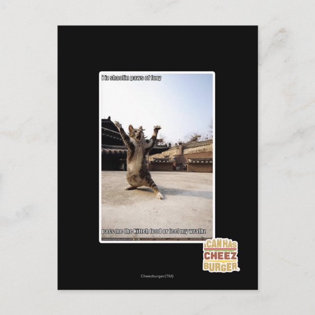 Cartão Postal Eu faço palhaços de fúria (Frente)