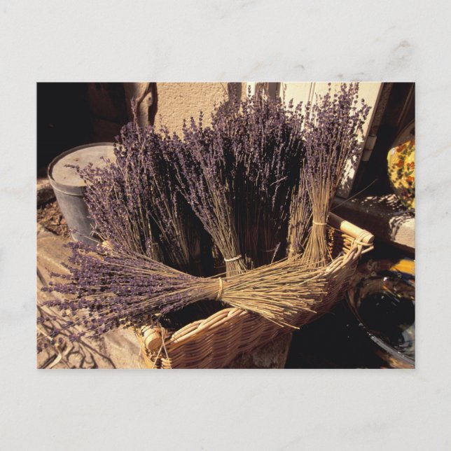 Cartão Postal EU, France, Provence, Bouches, du, Rhone, Les (Frente)