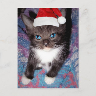 CARTÃO POSTAL EU FUI BOM ESTE ANO