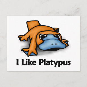 Cartão Postal Eu Gosto De Platypus