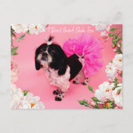 Cartão Postal Eu não dou a Shih Tzu