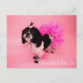 Cartão Postal Eu não dou a Shih Tzu