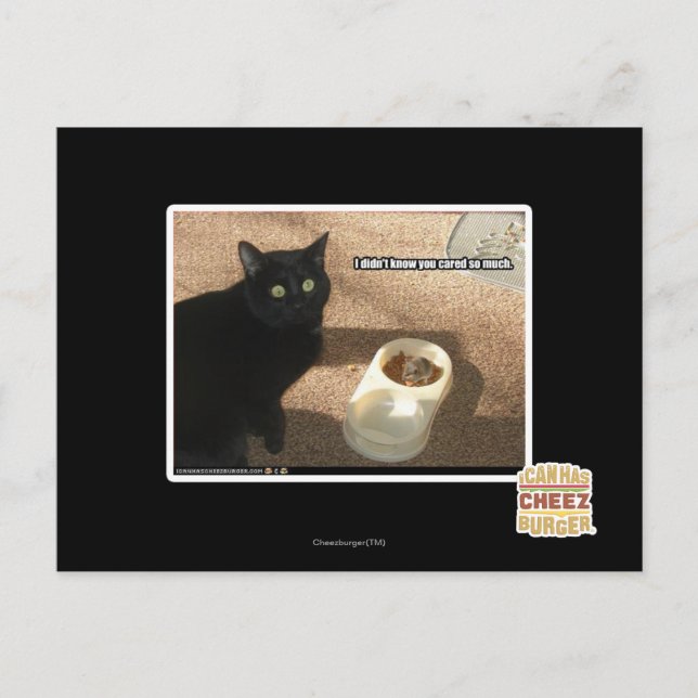 Cartão Postal Eu não sei que você se importava (Frente)