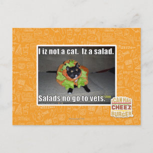 Cartão Postal Eu não sou um gato. É uma salada.