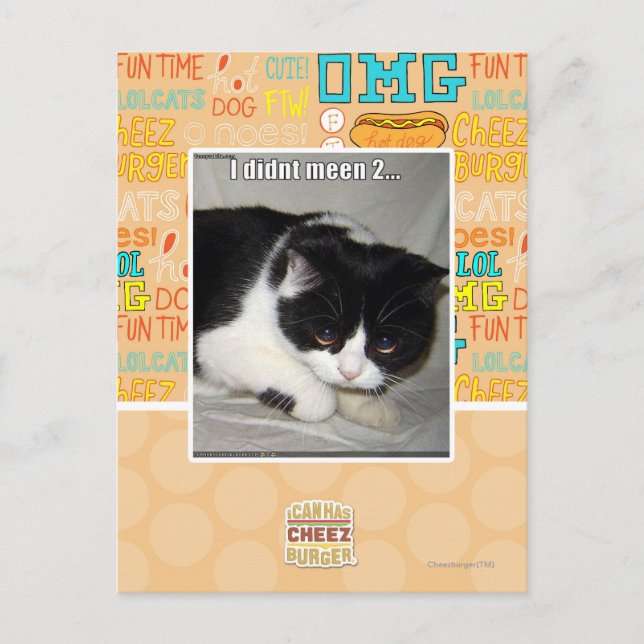 Cartão Postal Eu não vi 2 (Frente)