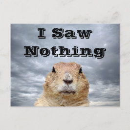 Cartão Postal Eu não vi nada no dia do Groundhog