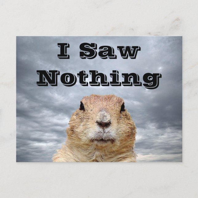 Cartão Postal Eu não vi nada no dia do Groundhog (Frente)