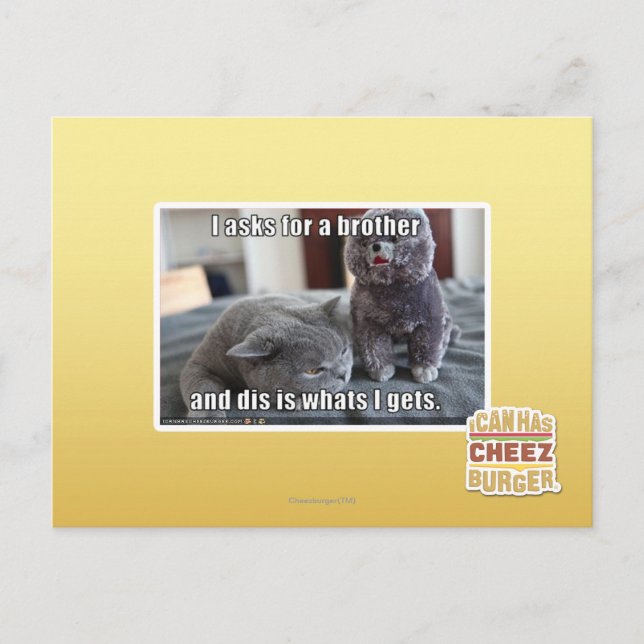 Cartão Postal Eu peço um irmão (Frente)