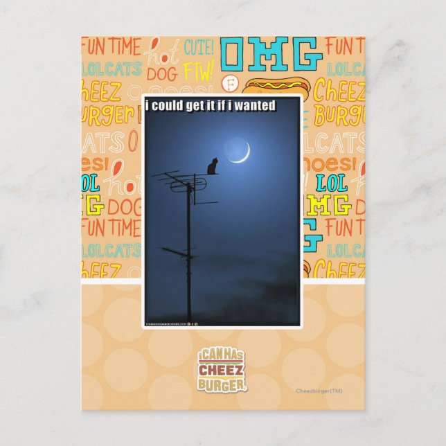 Cartão Postal Eu poderia obtê-lo se eu quis (Frente)