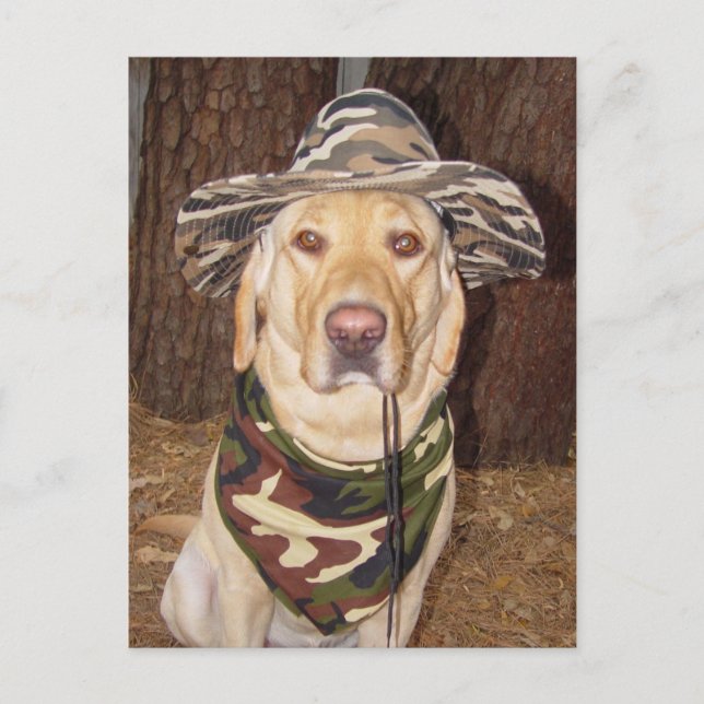 Cartão Postal Eu Preferencialmente caçando (Frente)