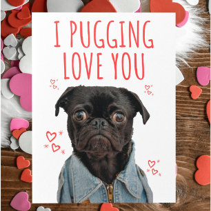 Cartão Postal Eu Pugando Amor Você Amante de Cães Fofo Valentine