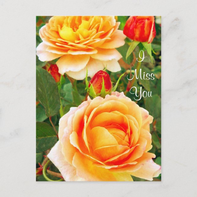 Cartão Postal Eu Sinto Sua Falta/Todas As Ocasiões (Frente)