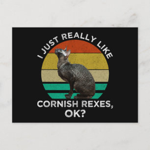 Cartão Postal Eu Só Realmente Gosto de Cornish Rexes, OK?