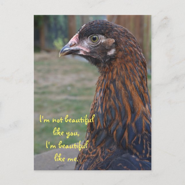 Cartão Postal Eu sou linda... Cartão-postal de frango cochin (Frente)