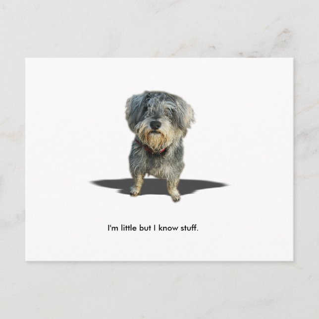 Cartão Postal Eu sou pouco mas eu sei o material (Frente)